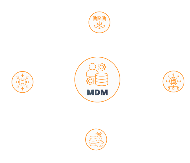 Master Data Management